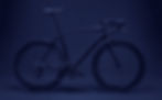 Bicycle_edited.jpg