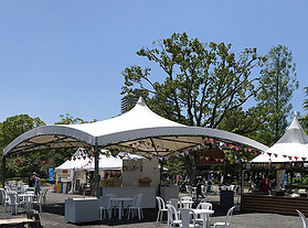 bigpow_tent1.jpg