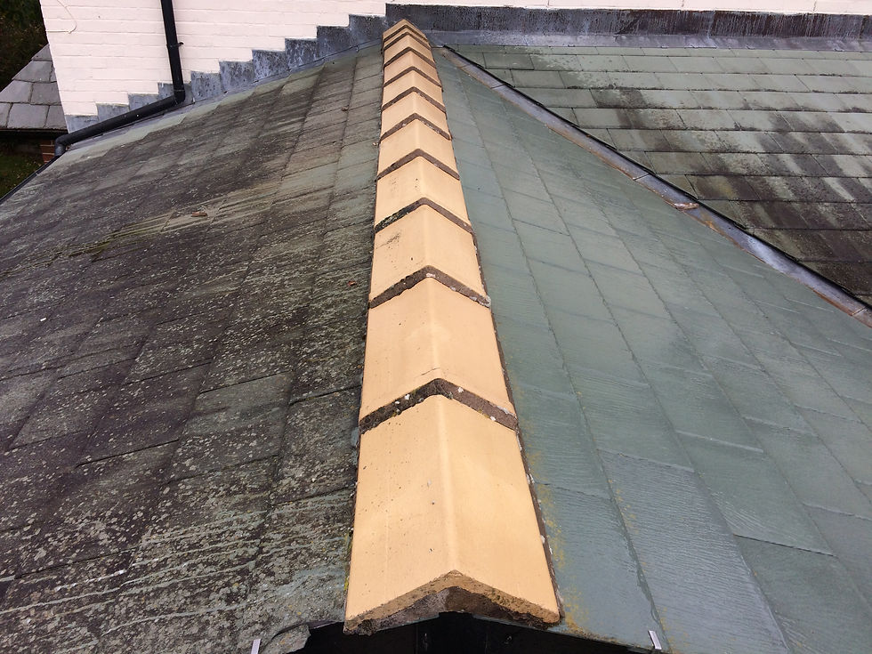 Roof cleaning in Formby