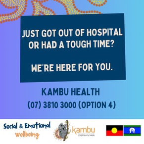 Social and Emotional Wellbeing Community Support Program