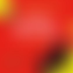 National Aboriginal and Torres Strait Islander Children’s Day, 4 August 2025