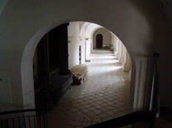 DSC02817