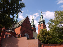 S5003122