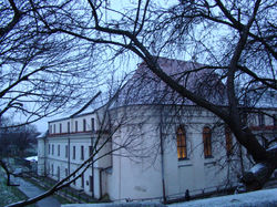 DSC03193