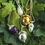 Thumbnail: Ampleforth Acorn Pendant - Large - Silver