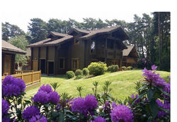 2nd log home.jpg