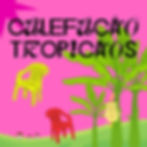 Calefação Tropicaos
