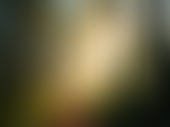 Exploring Wilderness Myths: Practical Woodsman Podcast Episode
