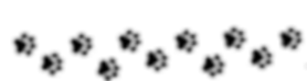 imageedit_8_4861322008 (2).png