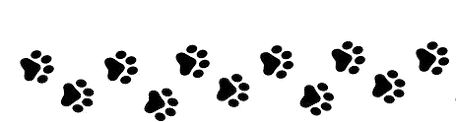 imageedit_8_4861322008 (2).png