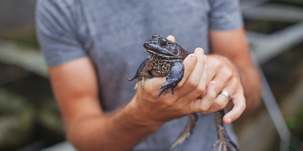 Reptile and Amphibian Nature Program at RRNC