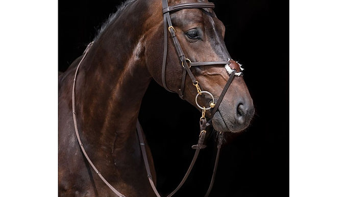 Bridle *Mexican Style* with padded grackle noseband