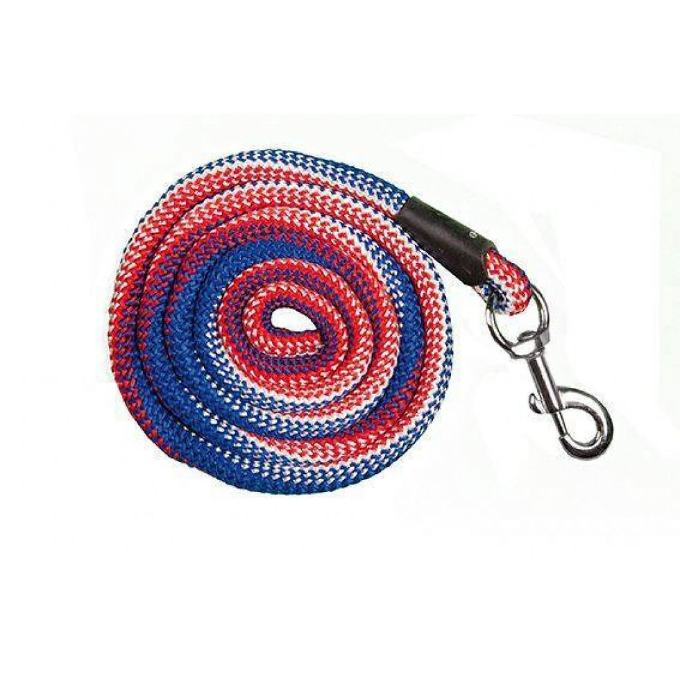 Thumbnail: Lead rope *Aachen* with snap hook