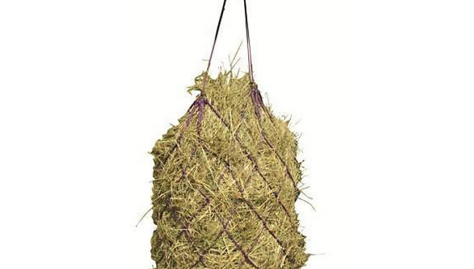 Haynet Economic