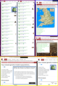 MTA Ancient and Modern A and B -no- Quarter Irish.png