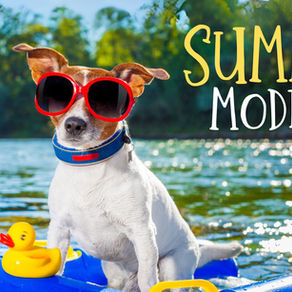 Summer Mode for SCCC