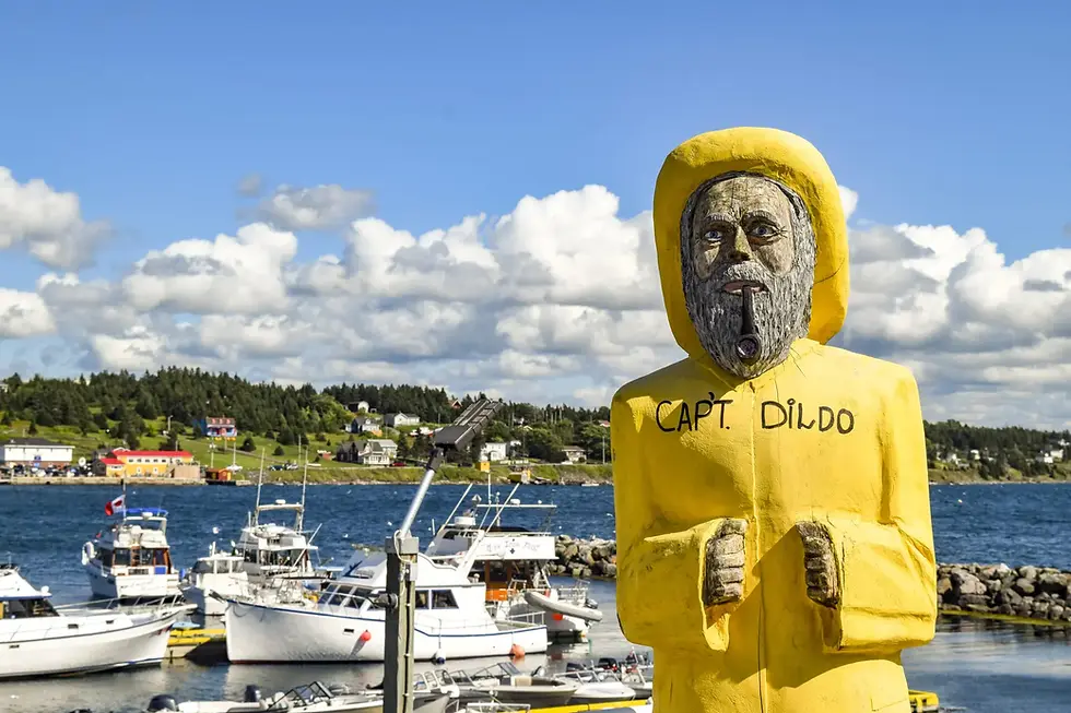 Credit : https://www.newfoundlandlabrador.com/trip-ideas/travel-stories/theres-no-place-like-dildo