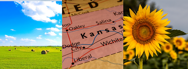 Explore hidden gems and local hot spots across small town Kansas including the best local restaurants, bars, stores, and much more. Let's proudly support local small businesses!