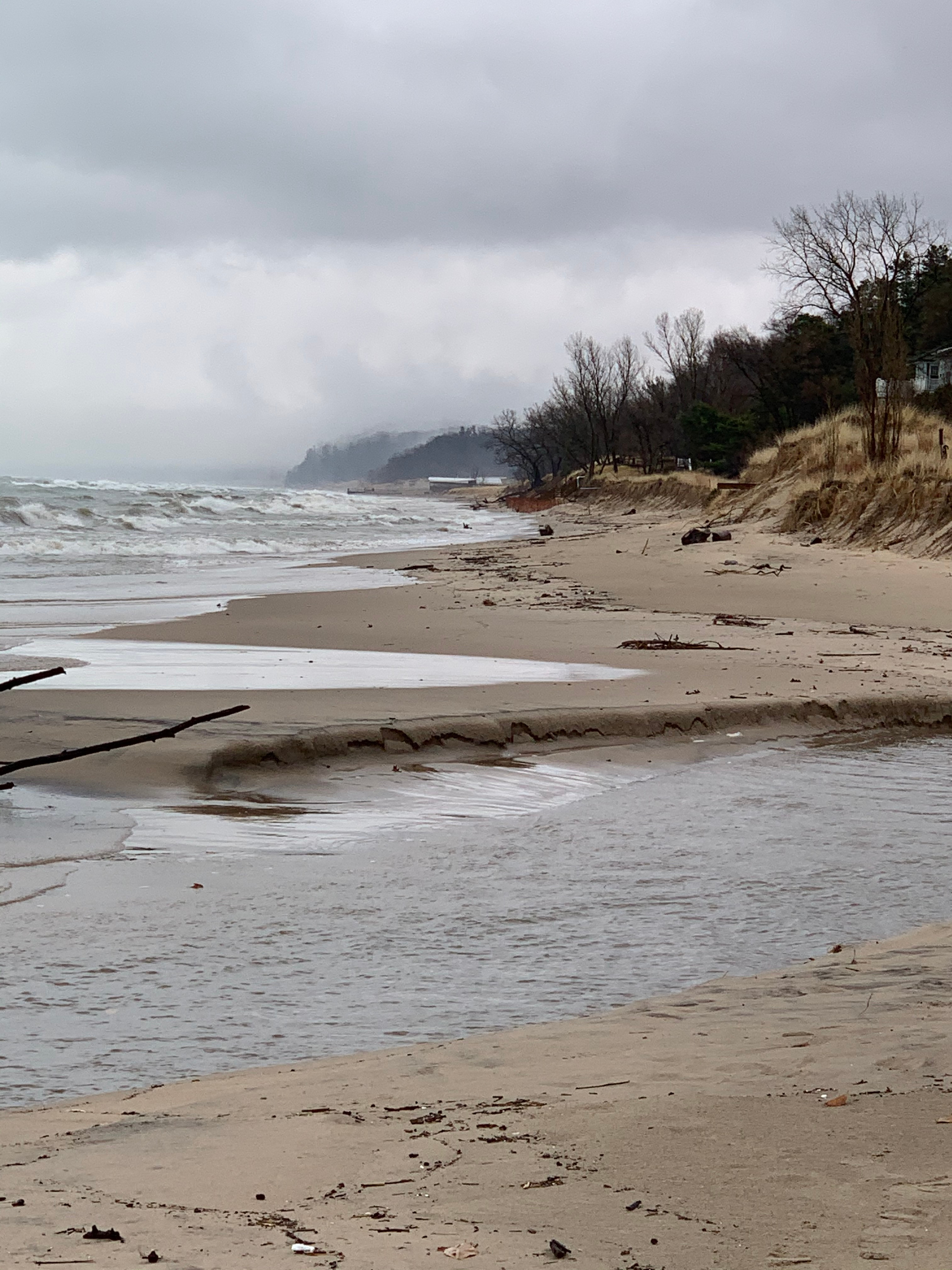 Discussion - Shorewood Members | Shorewood Hills