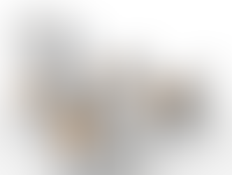 高歯技勉強会にゅ~す❣