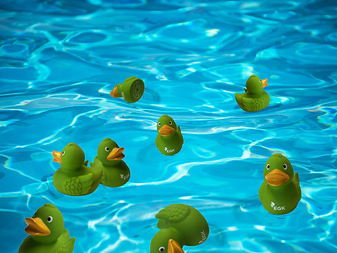 Headerbild_Gruene-EGK-Ente_26.jpg