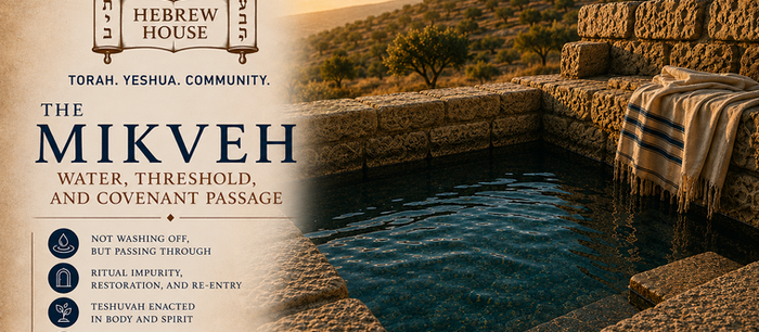 The Mikveh