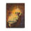 Thumbnail: Perfect Light | Canvas