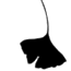 transparent ginko leaf reversed.gif