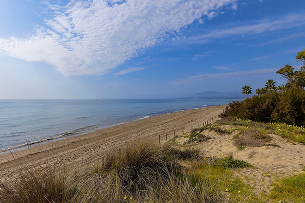 buying Marbella properties