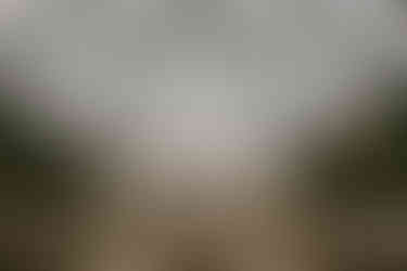 Wedding reception setup at Hartwood Acres