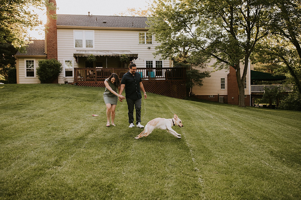 Dog running around during photography session