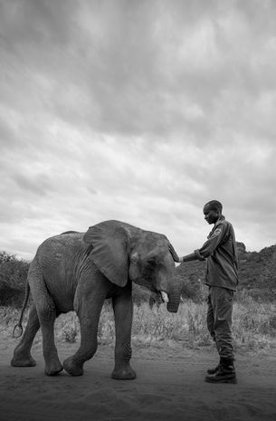 Reteti Elephant Sanctuary