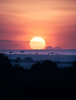 DSC08160-Enhanced-NR