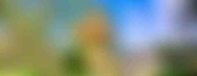 Subachoque_y_sus_maravillas