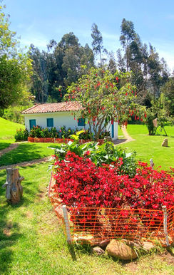 Coworking rural, motocros en Subachoque, eventos, naturaleza, descanso, bbq, relax 