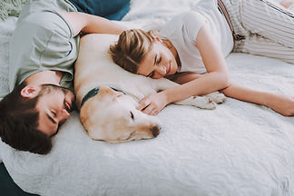 AdobeStock_235218450.jpeg