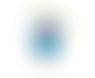 NEWSLETTER : ELLE EST EN LIGNE !