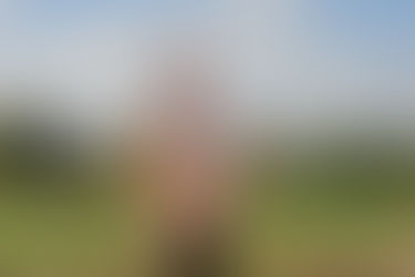 Politisches Afterwork mit Torsten Welling MdL im @Viedel in Polch