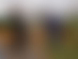 „Welling wills wissen“ - auch in Macken