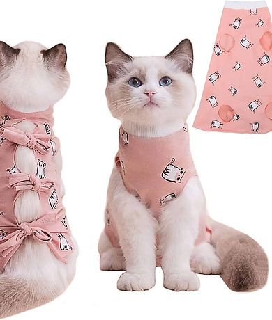 ROPA ROSA.jpg