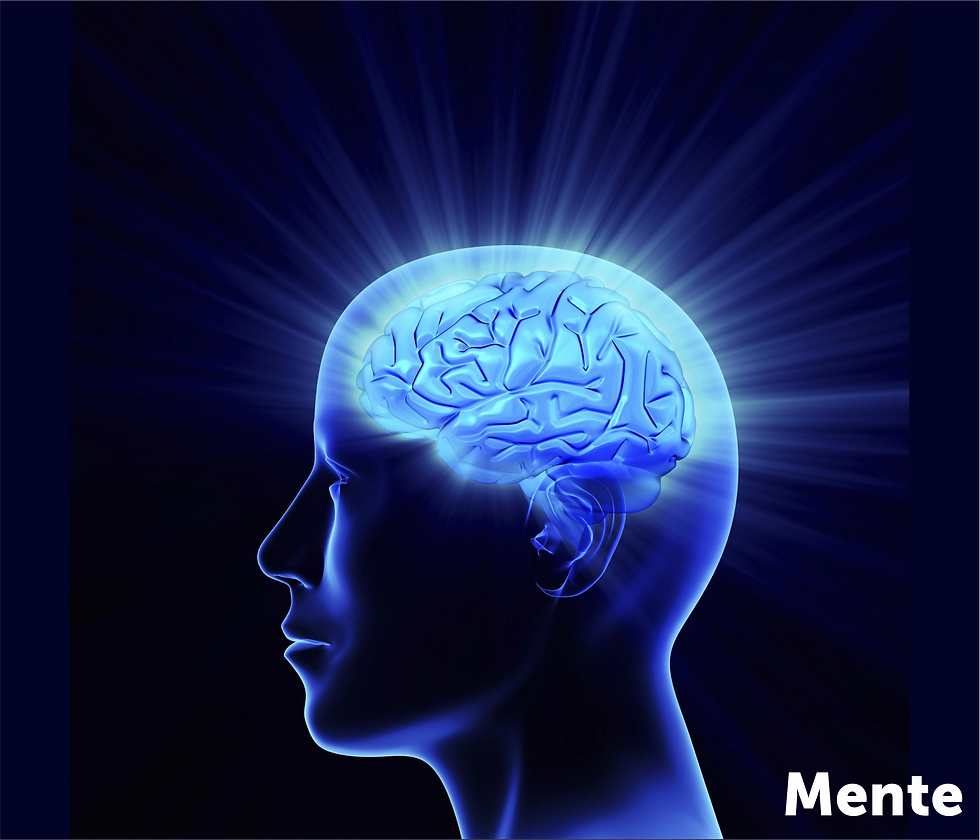 Mente.png