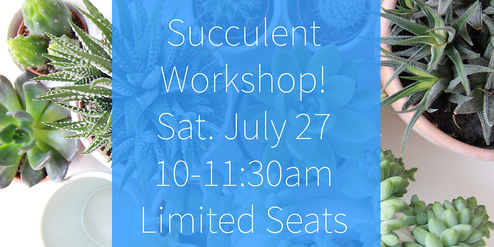 Succulent Workshop