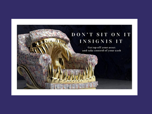 Insignis rebranding campaign