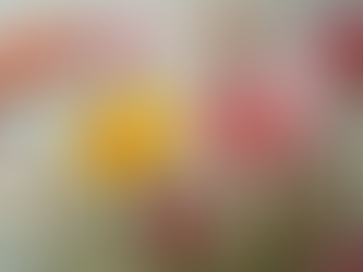 Explore the Beauty of Pressed Flowers