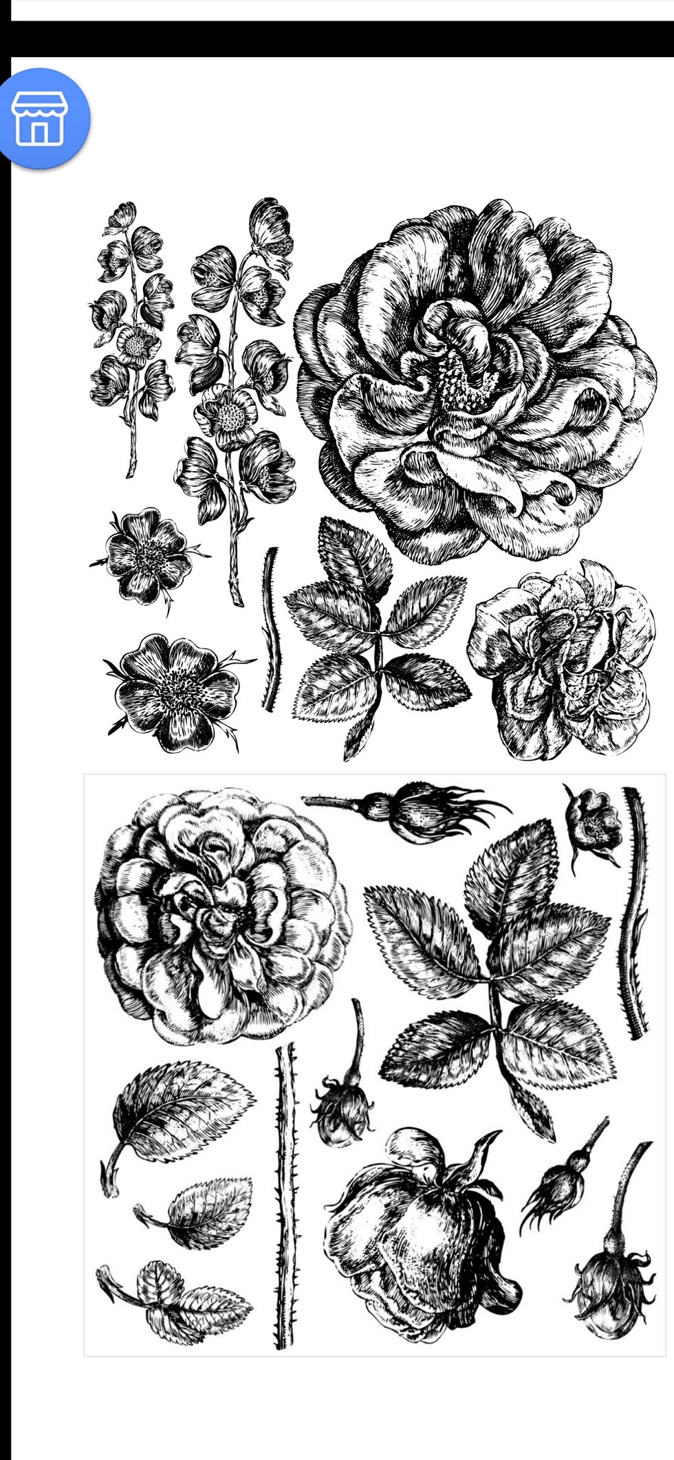 Lady of Shalott(retired)