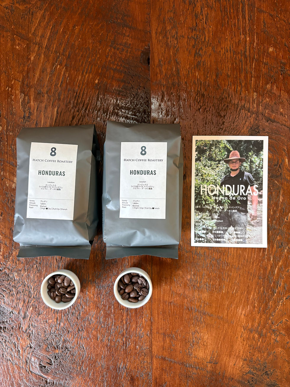 【NEW】ホンジュラス ウエヴォ・デ・オロ農園