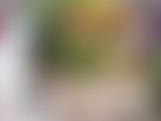 5/2(土)ベトナムのおかって-和えフォーとコーヒーの日-