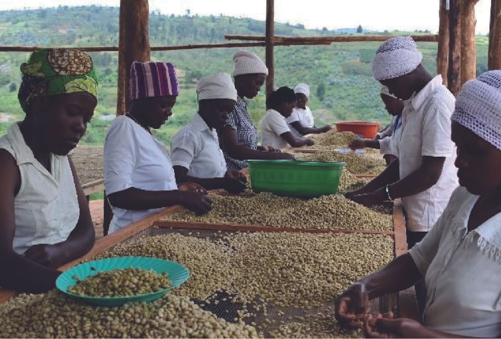 ルワンダ　コプロカ・ウォッシングステーション/ハイロースト 200g