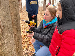 High School, Elementary School Collaboration