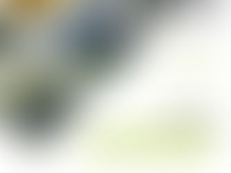 Senior Academic Mentoring - school closing early 25/6